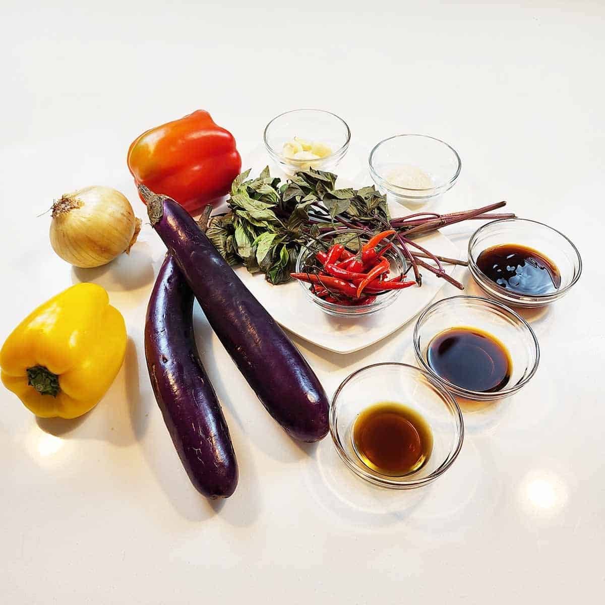 Ingredients for eggplant stir fry: purple eggplants, bell peppers, garlic, ginger, green onions, and sauce ingredients arranged on counter